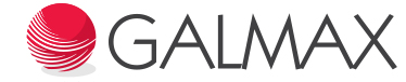 logo-galmax